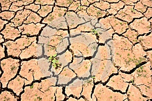 Cracks in soil due to drought photo