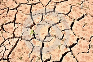 Cracks in soil due to drought photo