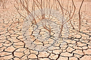 Cracks in soil due to drought photo