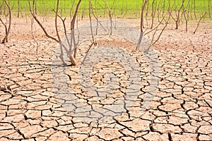 Cracks in soil due to drought photo