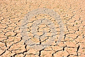 Cracks in soil due to drought photo