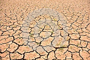 Cracks in soil due to drought photo