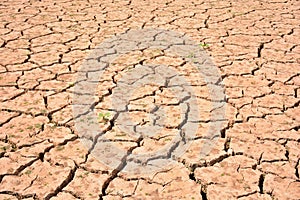 Cracks in soil due to drought photo