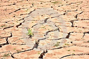 Cracks in soil due to drought photo