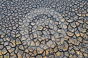 Cracks on the surface of the earth are altered by the shrinkage of mud due to drought photo