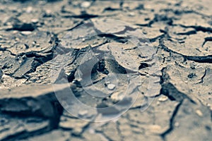 Cracks on the surface of the earth. Lack of moisture, lack of water