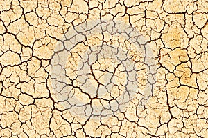 Cracks on the surface of the grung. Hot climat photo