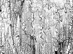 Cracks texture overlay. Vector background