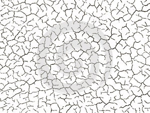 The cracks texture white and black. Vector background