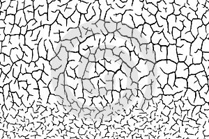 The cracks texture white and black. Vector background.