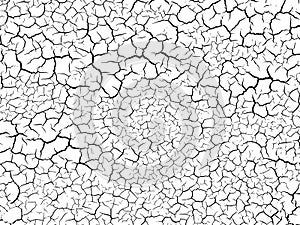 The cracks texture white and black. Vector background