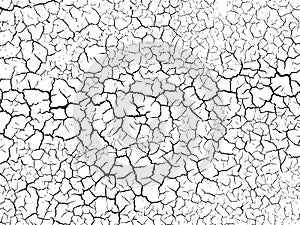 The cracks texture white and black. Vector background