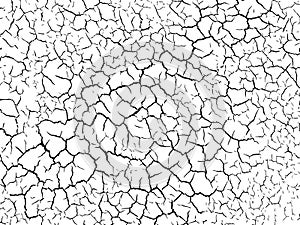 The cracks texture white and black. Vector background