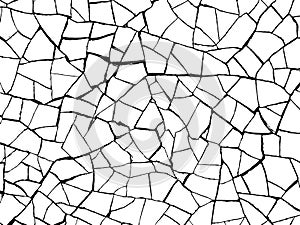 The cracks texture white and black. Vector background.