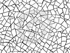 The cracks texture white and black. Vector background