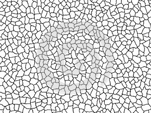 The cracks texture white and black. Vector background.