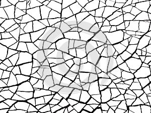 The cracks texture white and black. Vector background.