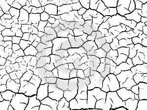 The cracks texture white and black. Vector background.