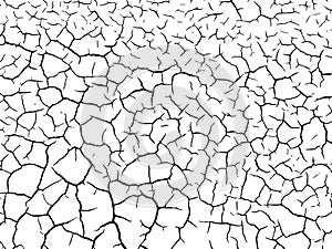 The cracks texture white and black. Vector background.