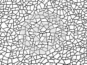 The cracks texture white and black. Vector background.