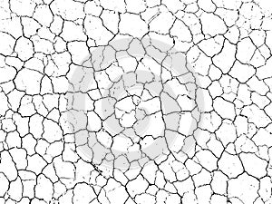 The cracks texture white and black. Vector background