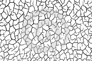 The cracks texture white and black. Vector background.Cracked earth.