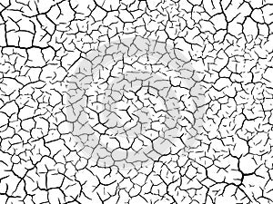 The cracks texture white and black. Vector background.Cracked earth.