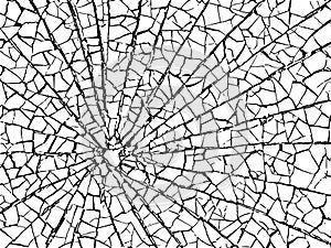 The cracks texture white and black. Vector background.Cracked earth