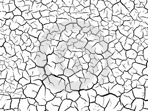 The cracks texture white and black. Vector background.Cracked earth.