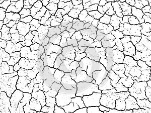 The cracks texture white and black. Vector background.