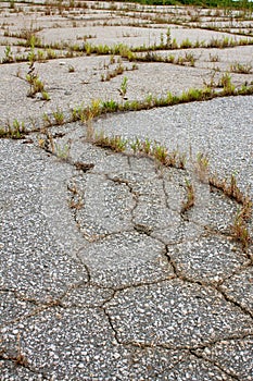 Cracks And Weeds Fill Asphalt Of Abandoned Lot