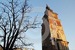 Cracow belfry photo