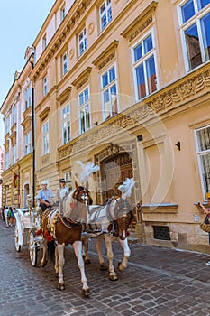 Cracow (Krakow)-Poland- horse carriage tour