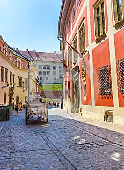 Cracow (Krakow)-Poland- horse carriage tour