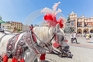 Cracow, Poland. Traditional horse carriage on the main old town market square. photo