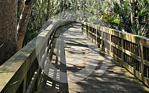 Cradle Creek Preserve Boardwalk