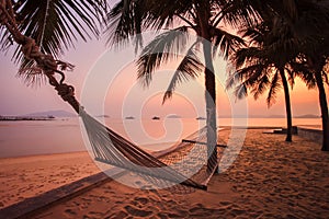 Cradle hanging on coconut tree against beautiful sun rising sky