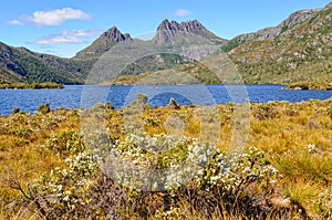 Cradle Mountain and Dove Lake - Tasmania