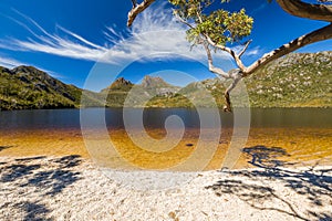 Lake Dove Tasmania