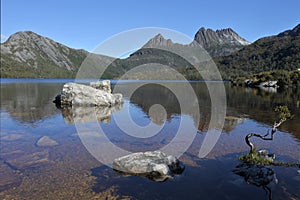 Cradle Mountain-Lake St Clair National Park Tasmania Australia