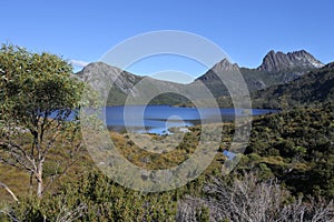 Cradle Mountain-Lake St Clair National Park Tasmania Australia