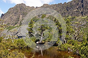 Cradle Mountain National Park, Tasmania, Australia