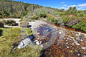 Cradle Mountain, Tasmania, Australia