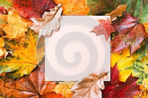 Craft aaper blank frame and autumn leaves background. Autumn mockup. Autumn composition, fall concept. Flat lay, top view and copy