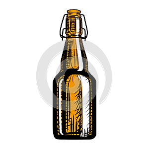 Craft beer bottle. Engraving style. Hand drawn illustration isolated