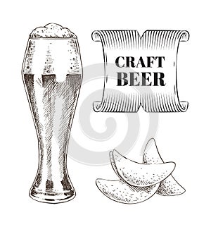Craft Beer and Fried Chips Set Vector Illustration