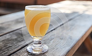 Craft Beer Glass