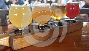 Craft Beer Sample Tasting Flight