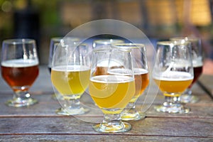 Craft Beer Samples in Glasses Outdoors