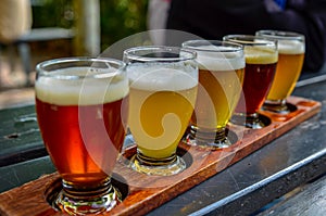 Craft beer tasting